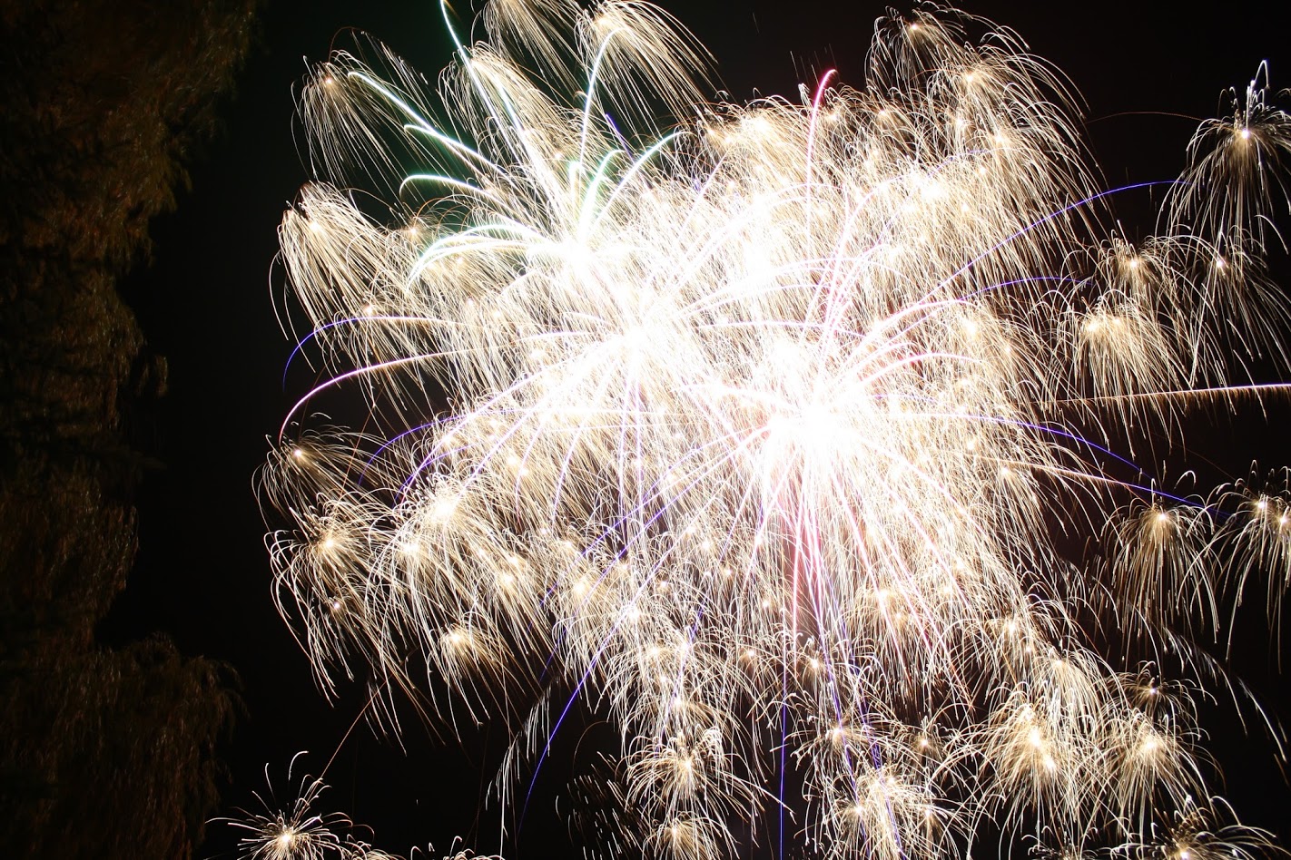 Ganges Fireworks
