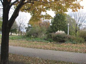 Lincoln Park